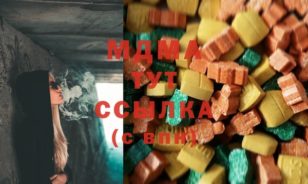 спиды Тайга