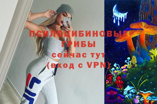 прущие крисы Алексеевка
