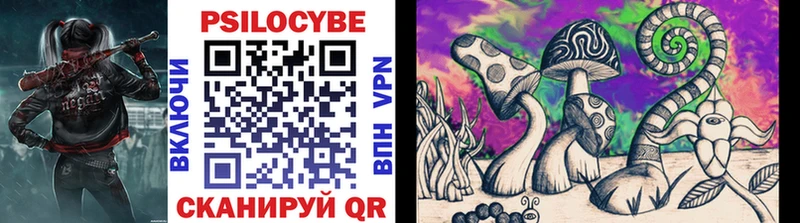 Галлюциногенные грибы Psilocybine cubensis Андреаполь